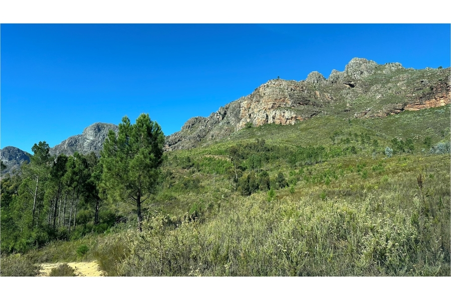 0 Bedroom Property for Sale in Paarl Rural Western Cape